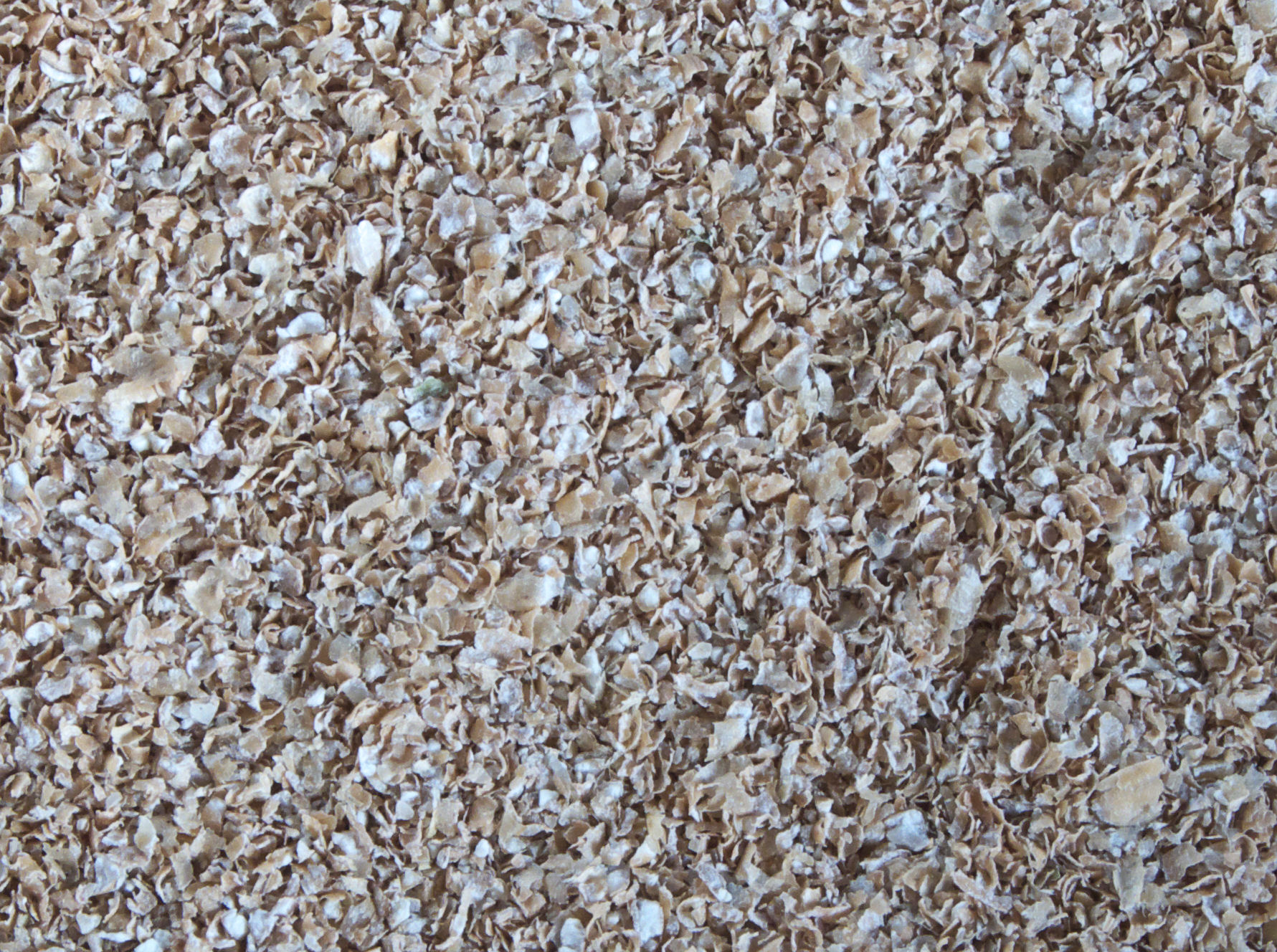 Crusca d'avena